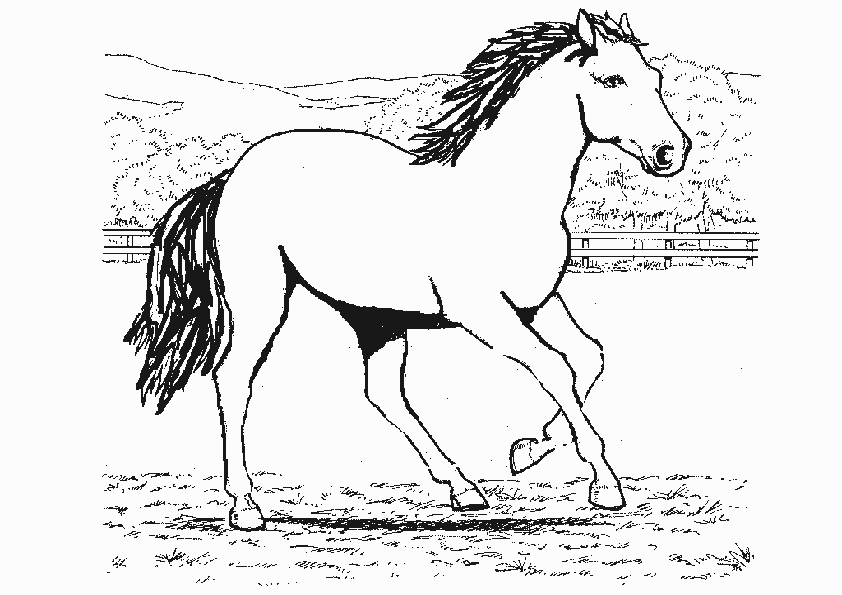 ausmalbilder malvorlagen ausmalen  pferde 21