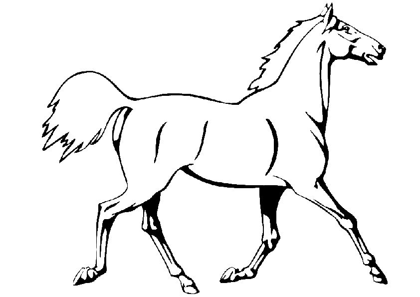 Pferde-36