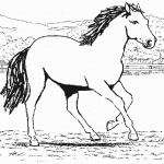 Pferde-28