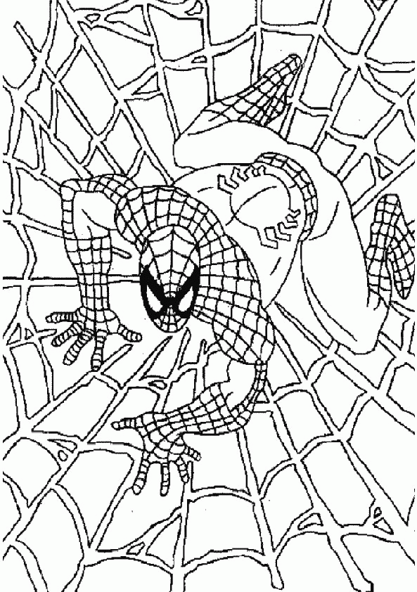 Spiderman-17