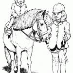 pferde-48