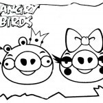 Angry-birds-16