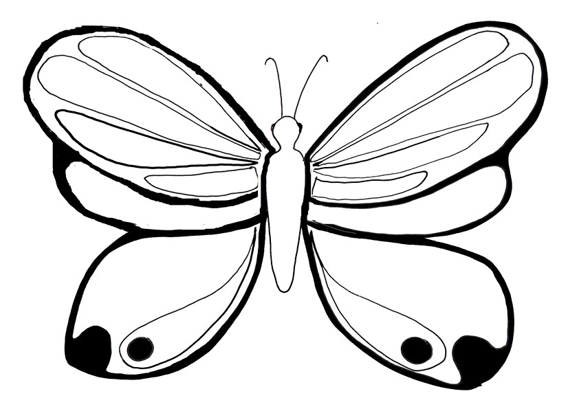 Ausmalbilder Schmetterling-13