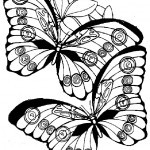 Schmetterling-16