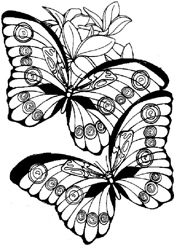 Ausmalbilder Schmetterling-16