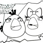 Angry-birds-5