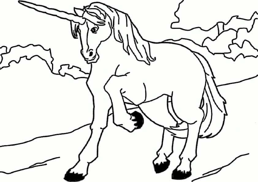 unicorn ausmalbilder einhorn  315 kostenlos baby chibi
