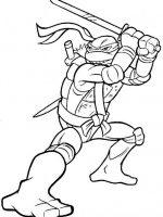 Ninja turtles-9