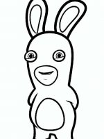 Rayman rabbids-1