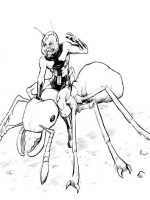 Ant-man-2