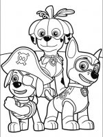 Paw patrol-10