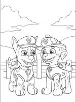 Paw patrol-12