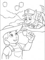 Paw-patrol-8