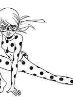 Ladybug-11