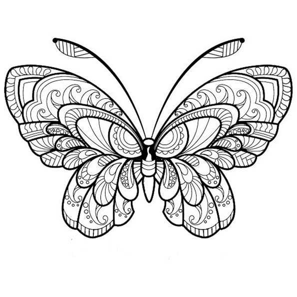 Schmetterling zum ausmalen Schmetterling Vorlagen